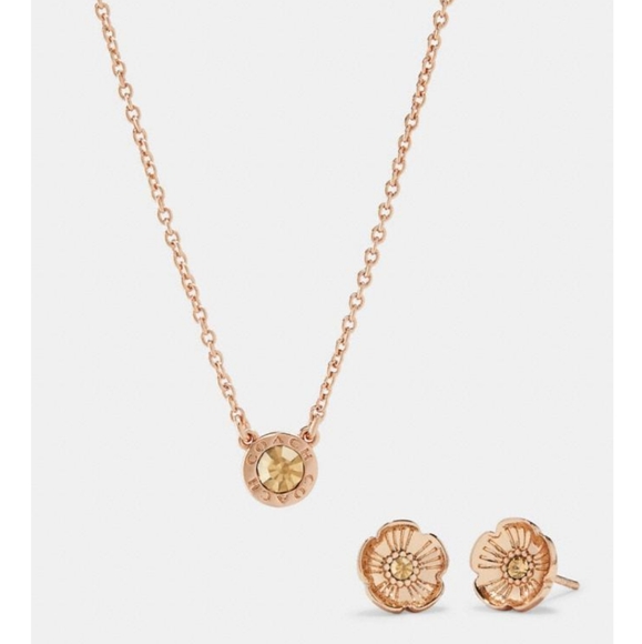 NWT COACH open circle necklace and tea rose earring set - Picture 2 of 8